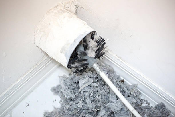 Best Local Air Duct Cleaning Services  in Seal Beach, CA